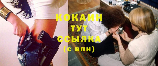 мескалин Няндома