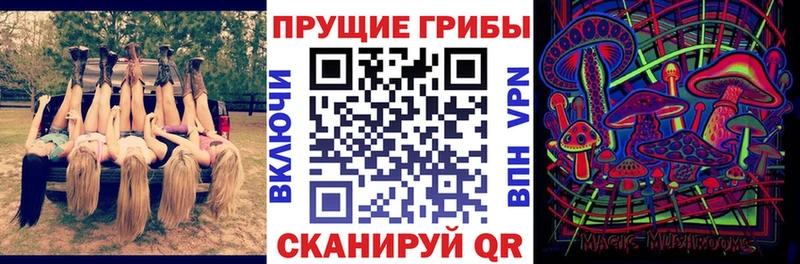 ссылка на мегу ссылка Краснотурьинск Псилоцибиновые грибы Psilocybine cubensis